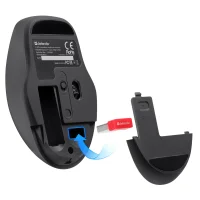 Мышь Defender Feam MM-296 (черный) фото 2